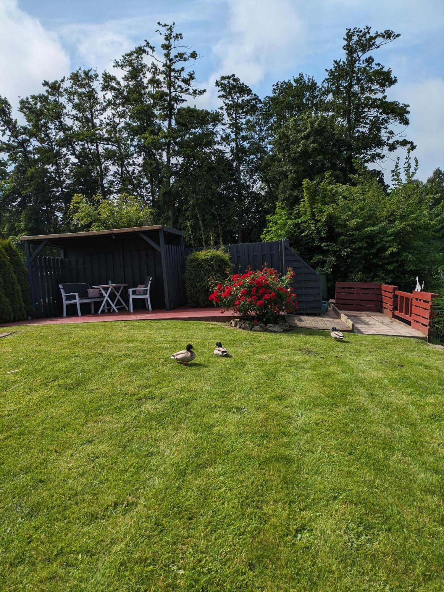 Haus Jane Villa Dornum Bagian luar foto